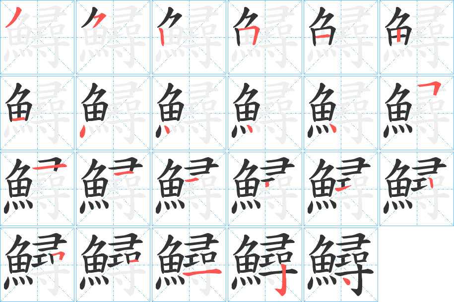 鱘字的笔顺