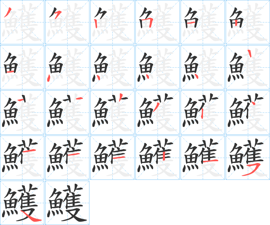 鱯字的笔顺