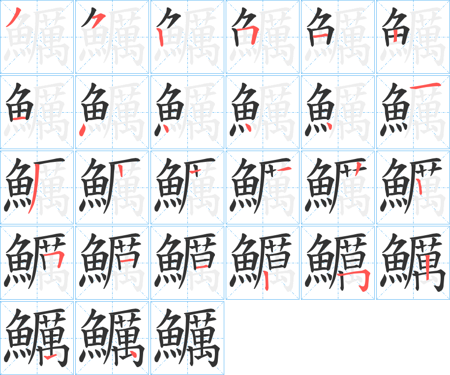 鱱字的笔顺