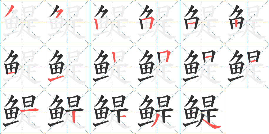 鳀字的笔顺