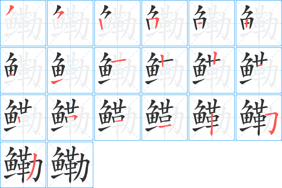鳓字的笔顺