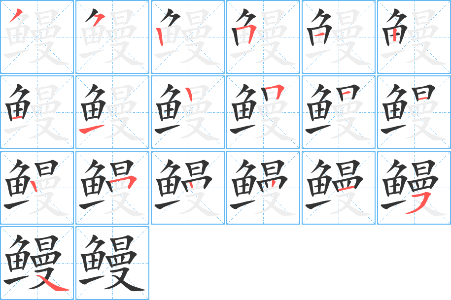 鳗字的笔顺