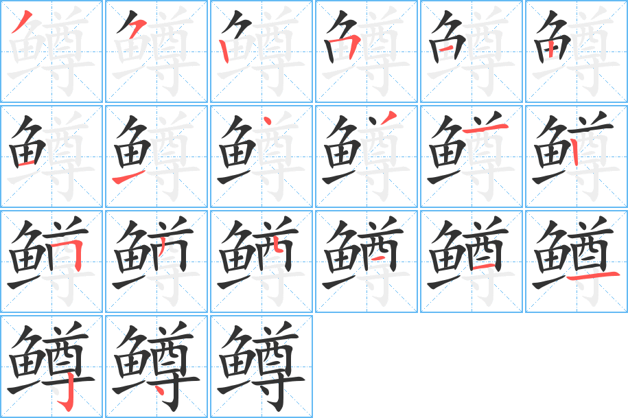 鳟字的笔顺