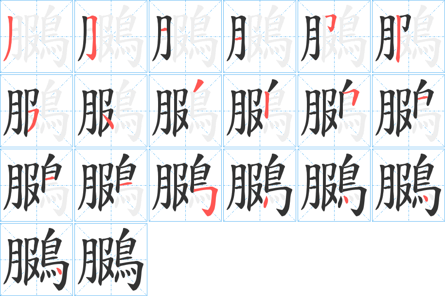 鵩字的笔顺