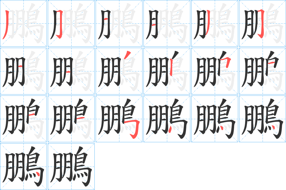 鵬字的笔顺