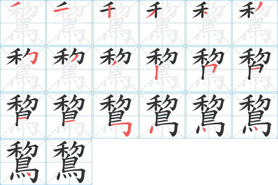 鵹字的笔顺