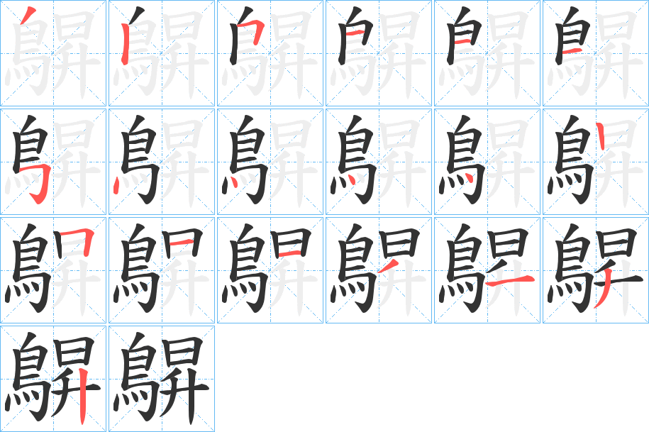 鵿字的笔顺