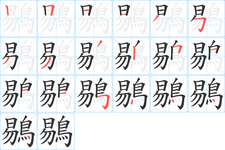 鶍字的笔顺