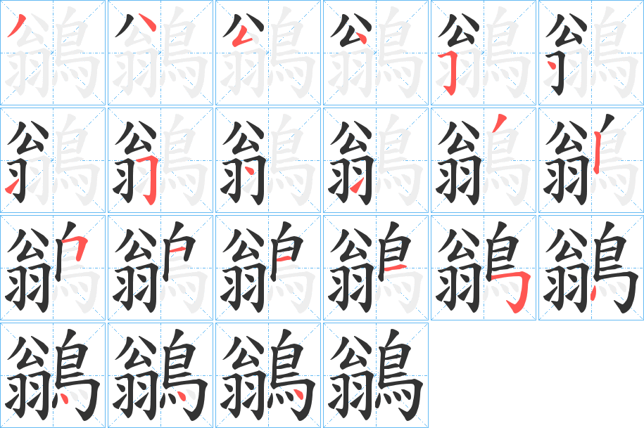 鶲字的笔顺