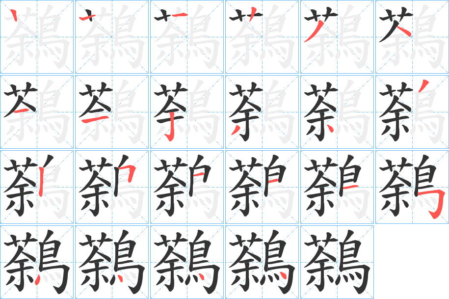鷋字的笔顺