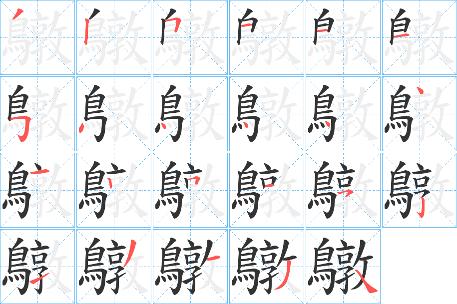 鷻字的笔顺