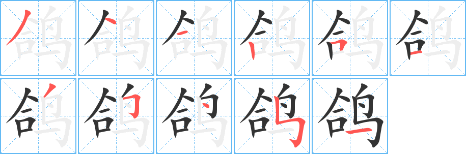 鸽字的笔顺